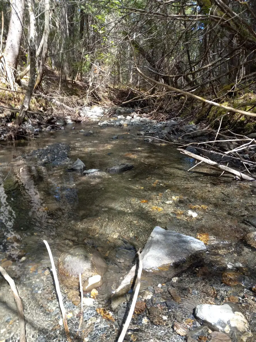 off Harry's Way, Colebrook, NH 03576 - #3