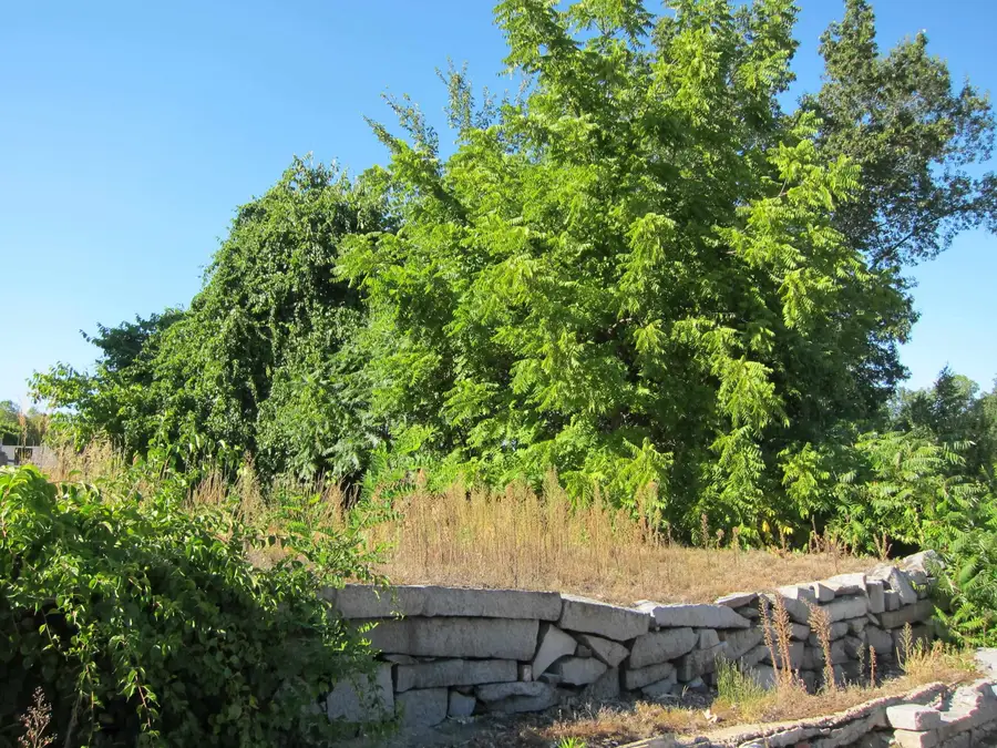 282-284 N State Street, Concord, NH 03301 - Image #3