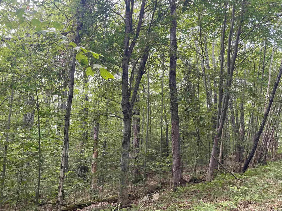 0000 Wonder Lane #Lot 18, Jamaica, VT 05343 - Image #2