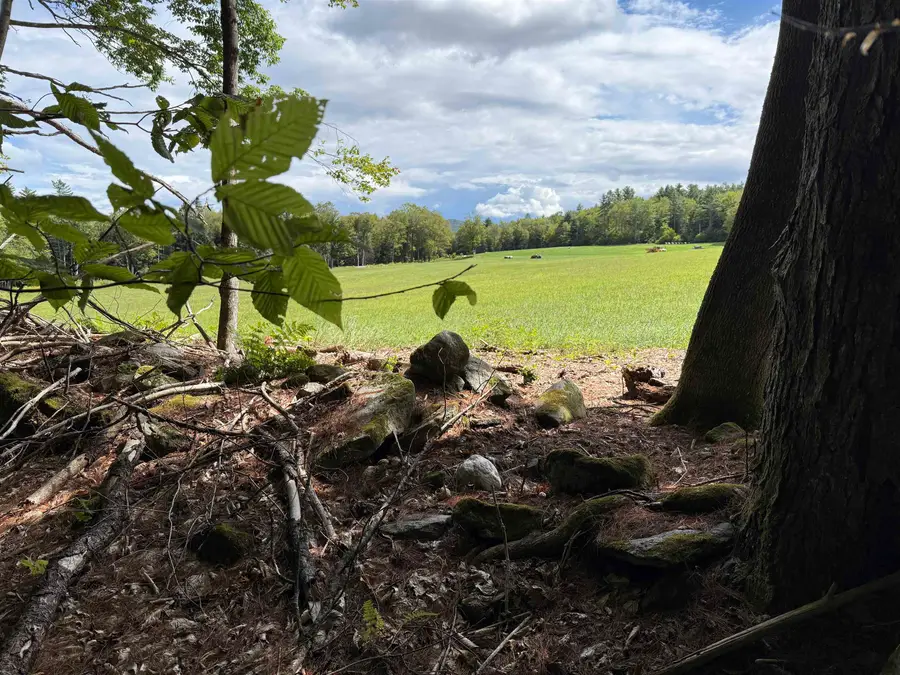 0 Hoey Road, Cavendish, VT 05142 - Image #2