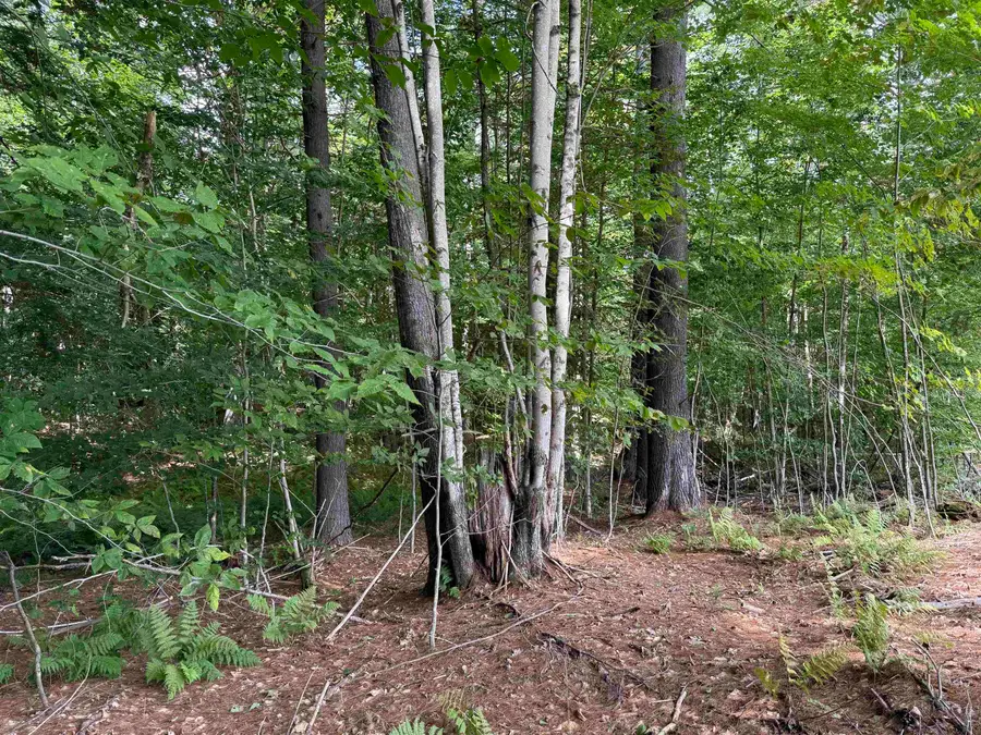 0 Hoey Road, Cavendish, VT 05142 - Image #3