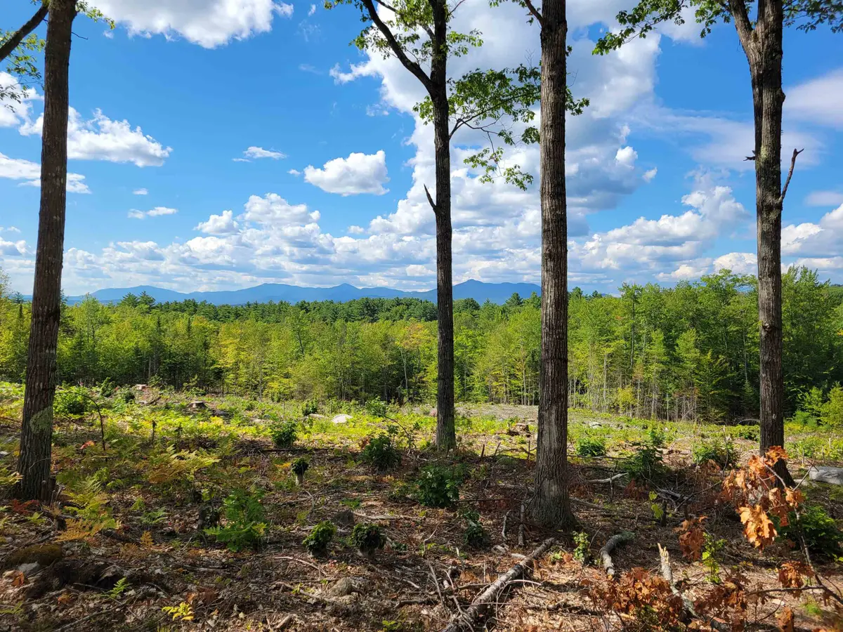 238-1-1.3 Maple Grove Road, Madison, NH 03849 - Image #1