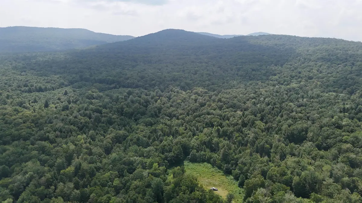 0 Bog Road, Belvidere, VT 05442 - Image #1