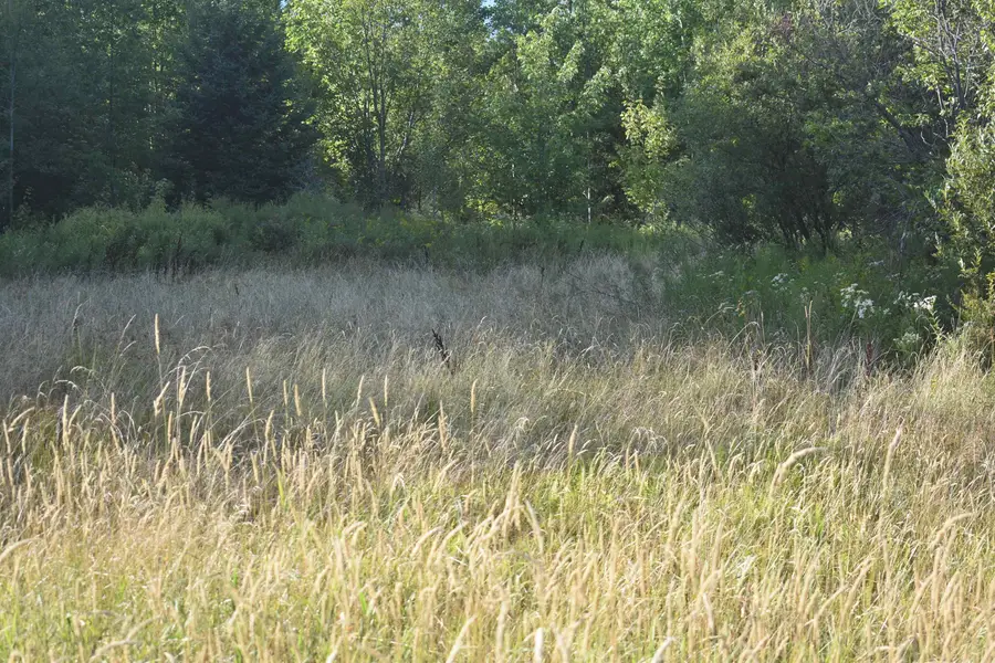 00 RT 58, Lowell, VT 05847 - Image #3