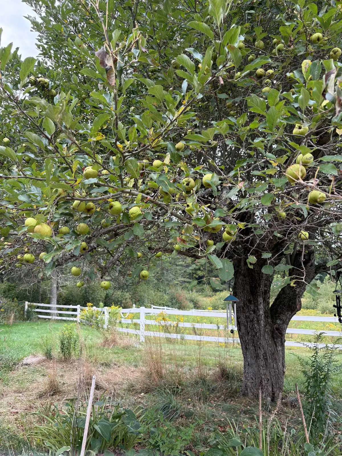 715 Gilmore Pond Road, Jaffrey, NH 03452 - #1