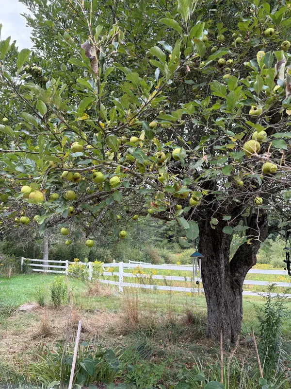 715 Gilmore Pond Road, Jaffrey, NH 03452