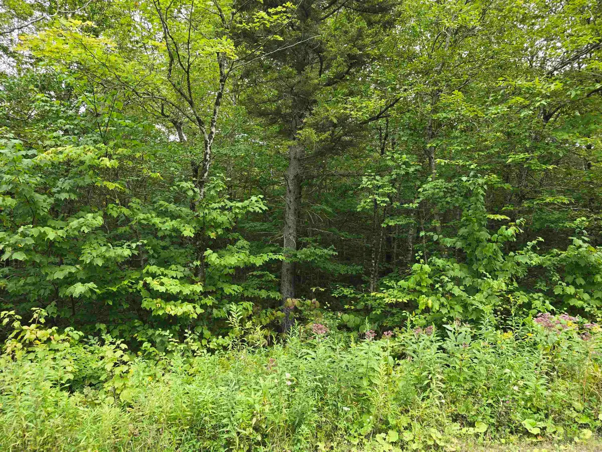 0 Oberhugel Road, Stamford, VT 05352 - Image #1