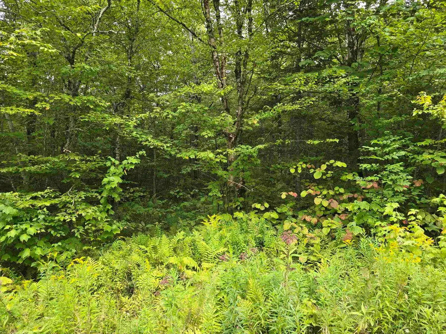 0 Oberhugel Road, Stamford, VT 05352 - Image #2