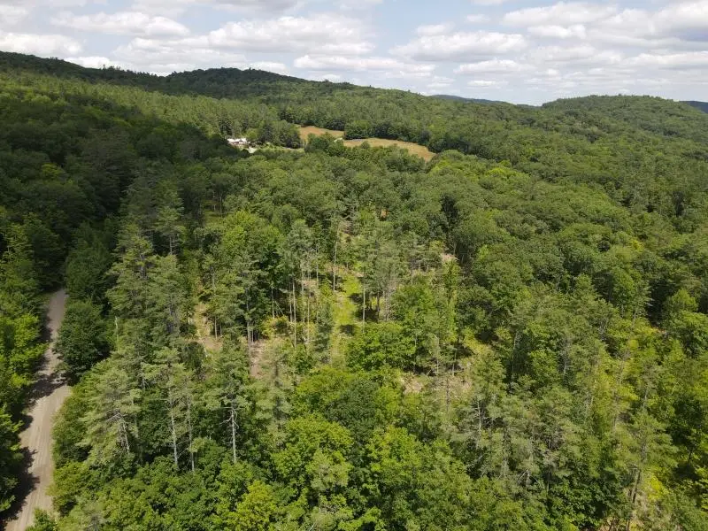 0 Denio Road, Barnet, VT 05821 - Image #2