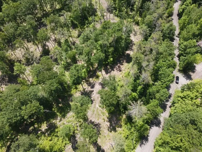 0 Denio Road, Barnet, VT 05821 - Image #3