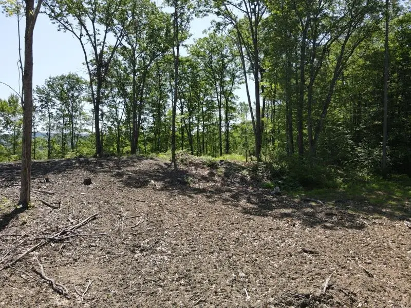 0 Denio Road, Barnet, VT 05821 - Image #2