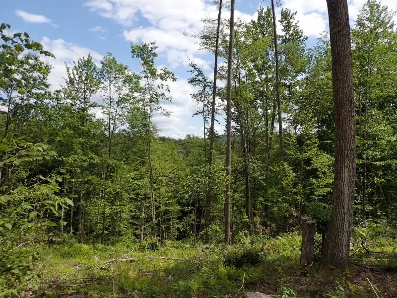 0 Denio Road, Barnet, VT 05821 - Image #3