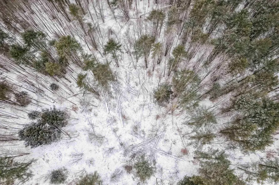 933 Gage Road, Tunbridge, VT 05077 - Image #3