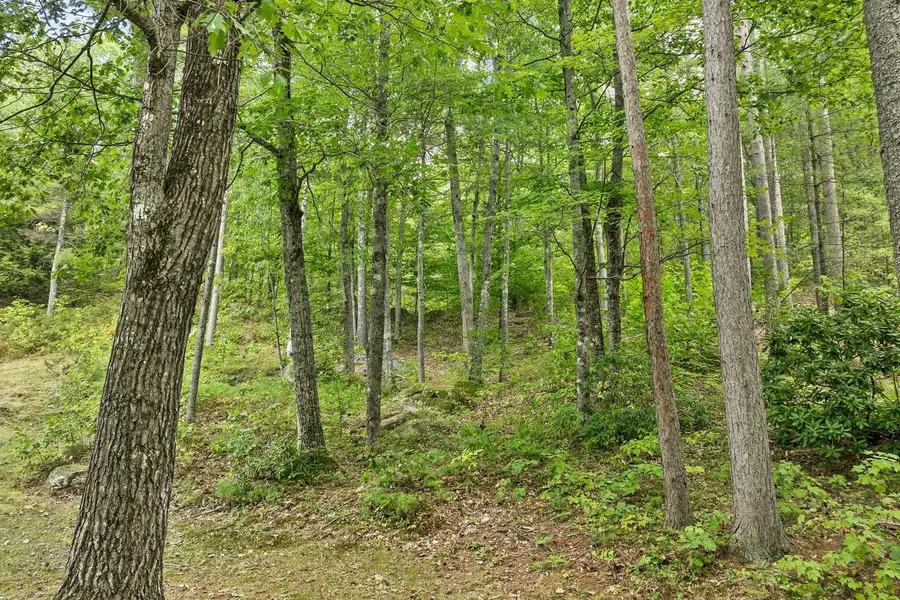 225 Kings Highway, New Durham, NH 03855 - Image #3