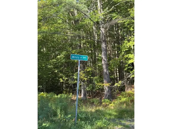 Lot 4 Milo's Place, Worcester, VT 05682