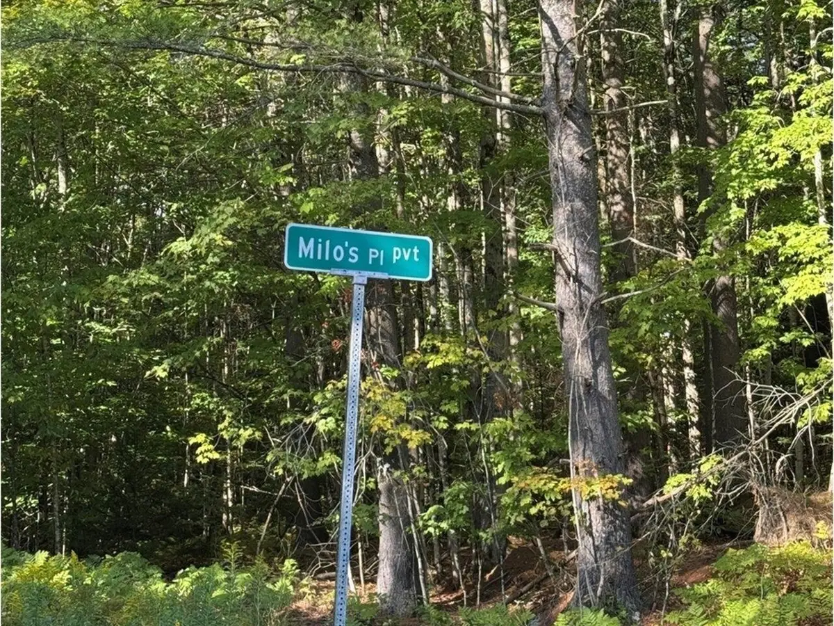 Lot 5 Milo's Place, Worcester, VT 05682 - Image #1