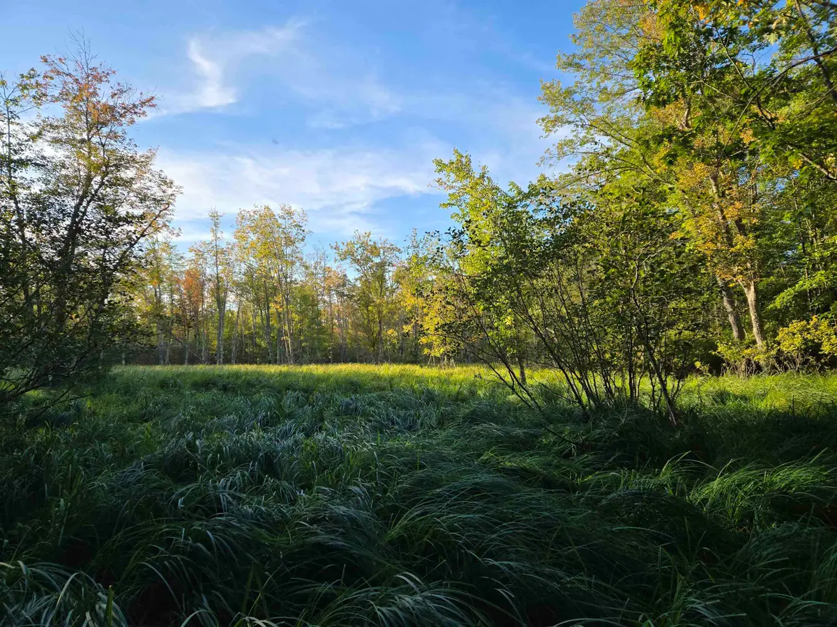 Nute Road, Madbury, NH 03023 - Image #1