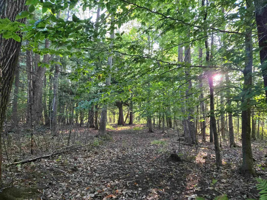 Nute Road, Madbury, NH 03023 - Image #2