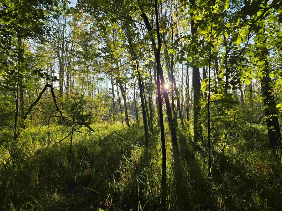 Nute Road, Madbury, NH 03023 - Image #3
