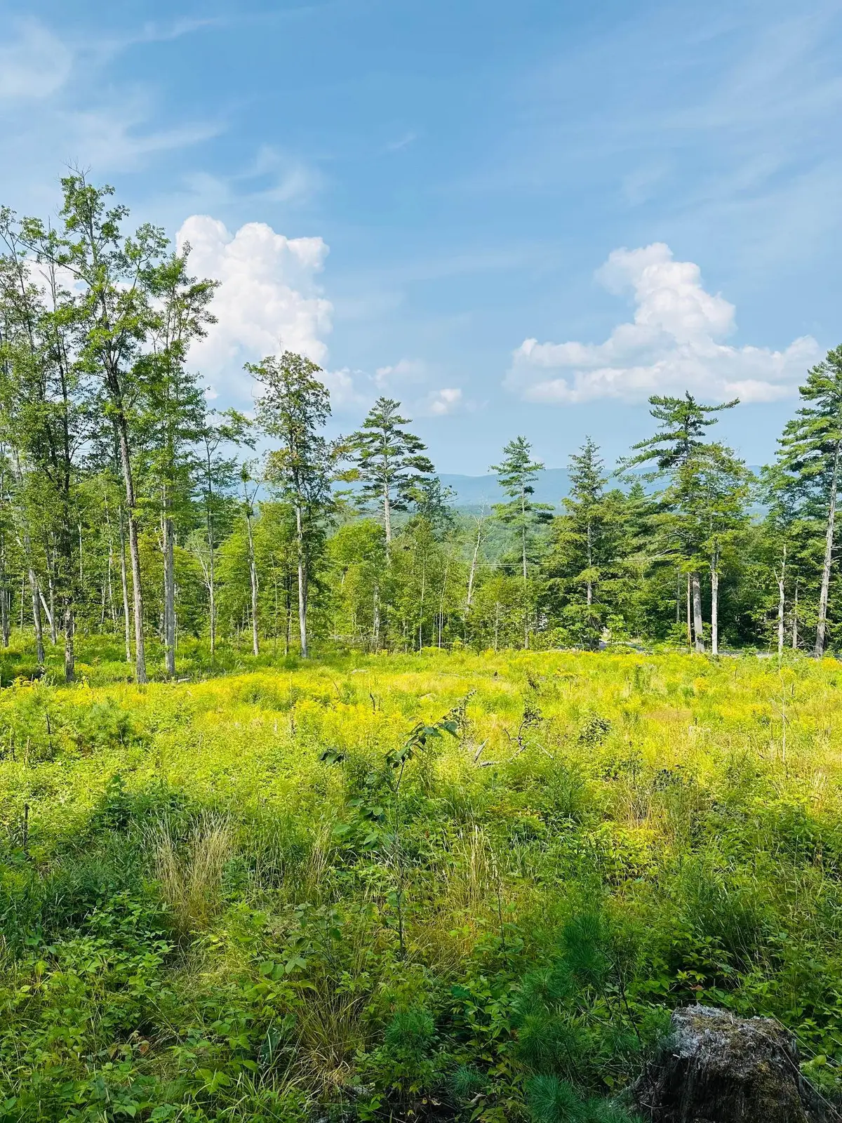 2024 Route 114, Bradford, NH 03221-0000 - Image #1