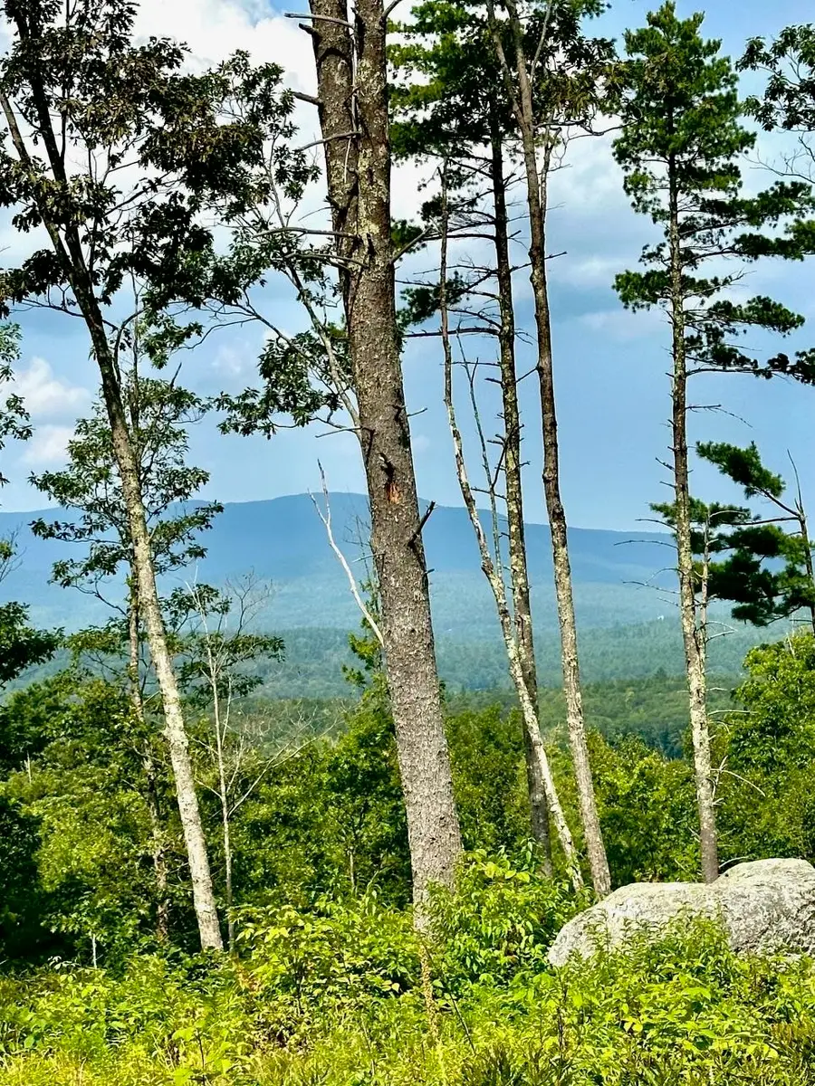 2024 Route 114, Bradford, NH 03221-0000 - Image #2