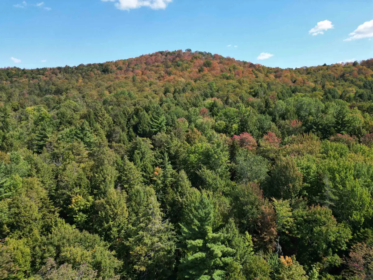 0 Angell Road, Barnard, VT 05091 - Image #1