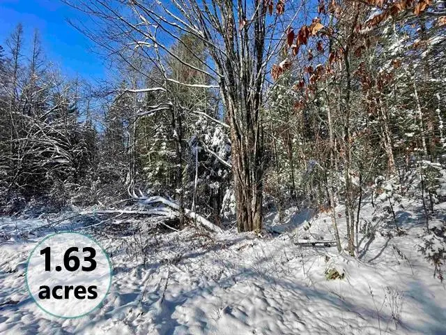 00 Marshall Newland Road, Burke, VT 05832 - Image #1