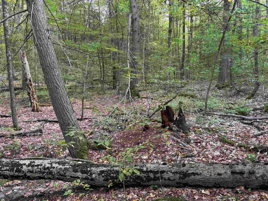 Kurn Hattin Road, Westminster Town, VT 05346 - Image #3