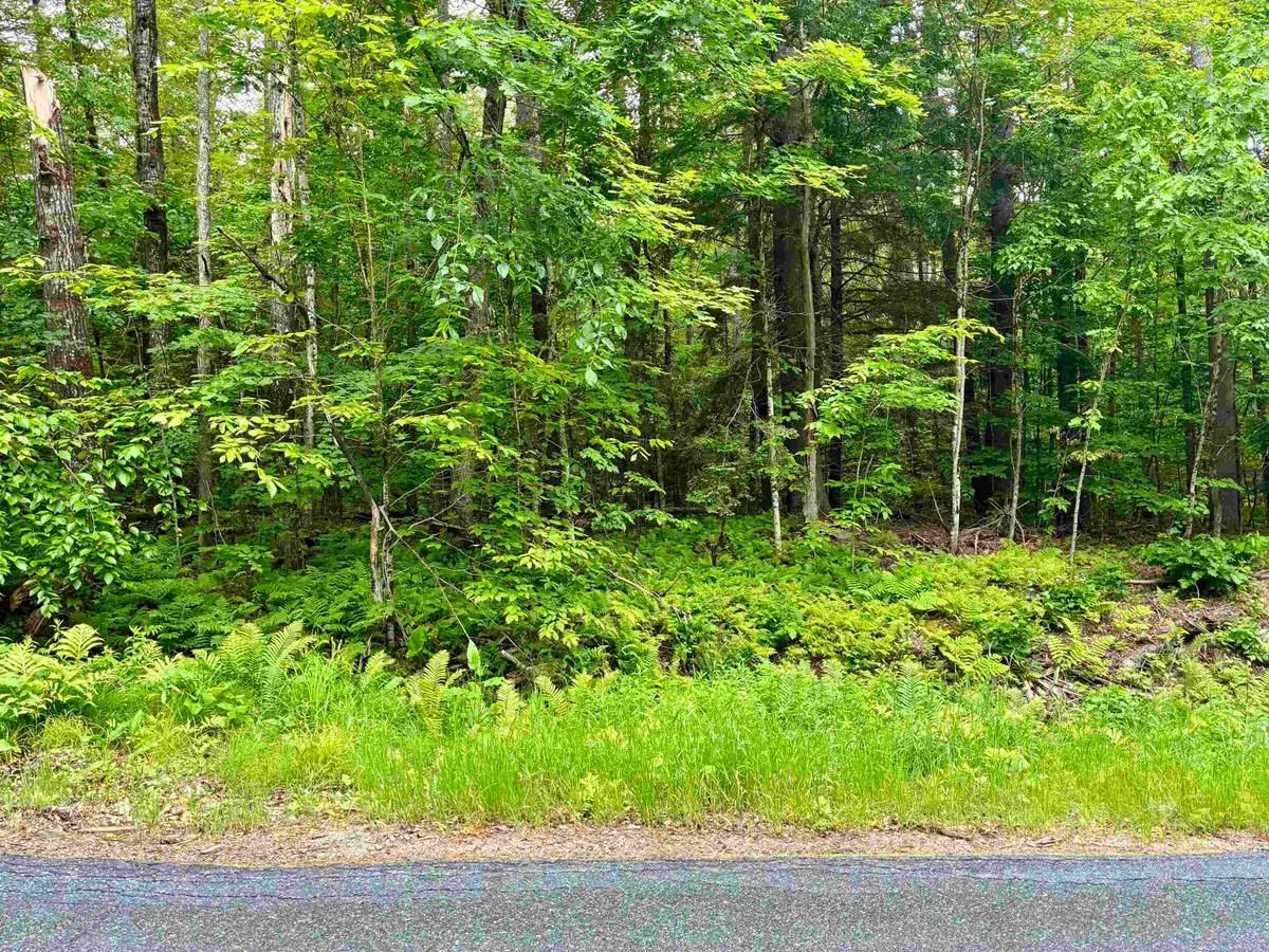 Lot 6 North Skinny Ridge Road #51-5 Lot 6, Littleton, NH 03561 - Image #1