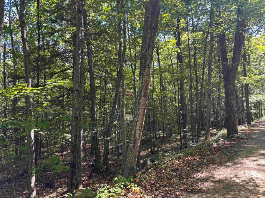 28-1 Range Road, Strafford, NH 03884 - Image #2