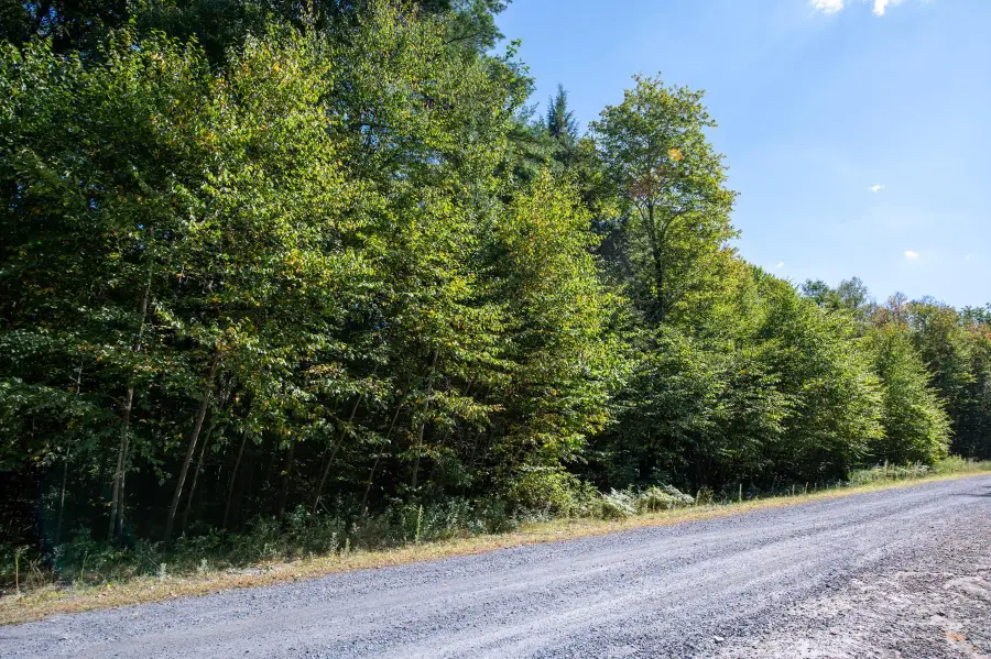 00 Remington Road, Chester, VT 05143 - Image #3