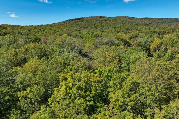 00 Old Weston Mountain Road #Lot 9, Ludlow, VT 05149