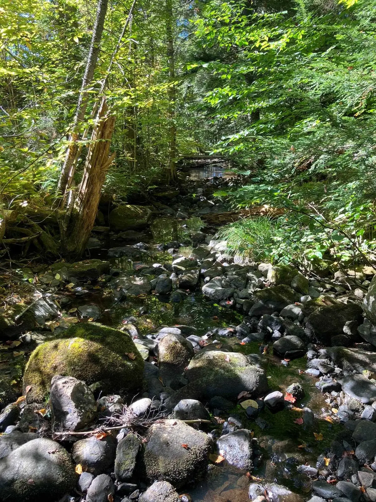 0 Theresa Lane, Wilmington, VT 05363 - Image #1