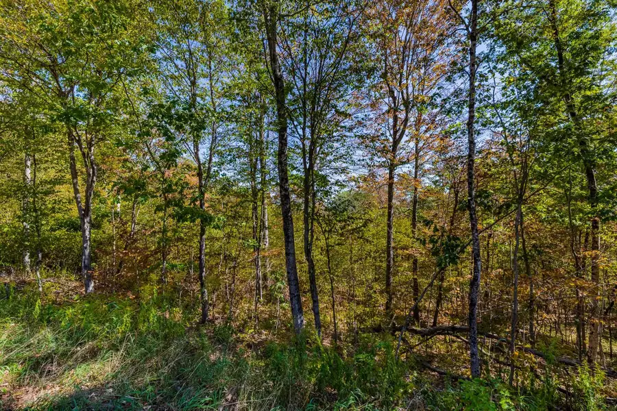 5268 Willard Road, Hartford, VT 05059 - Image #3