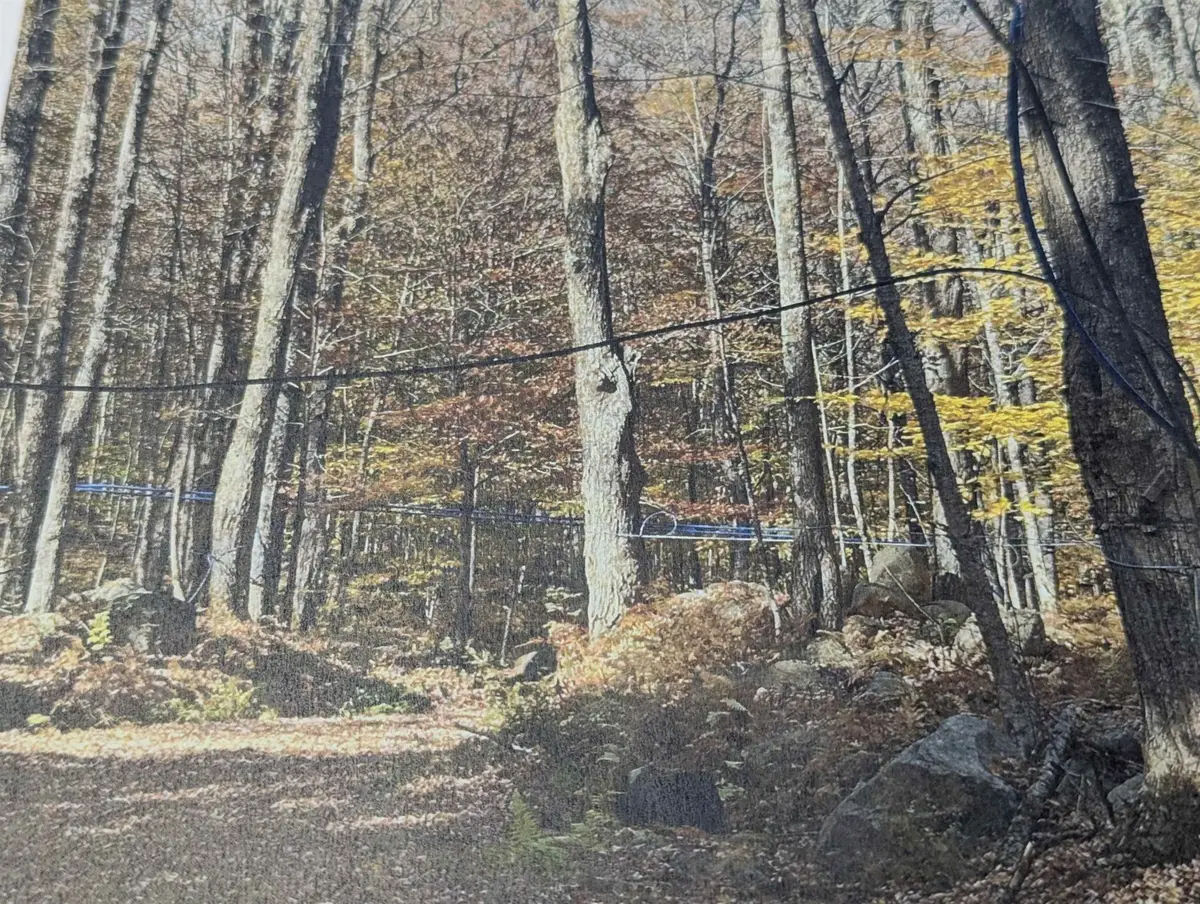 1928 VT. Rte. 131, Ascutney, VT 05030 - Image #1