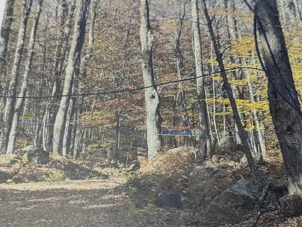 1928 VT. Rte. 131, Weathersfield, VT 05030