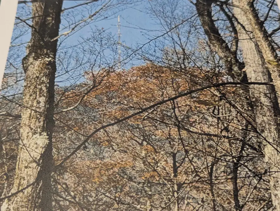 1928 VT. Rte. 131, Ascutney, VT 05030 - Image #2