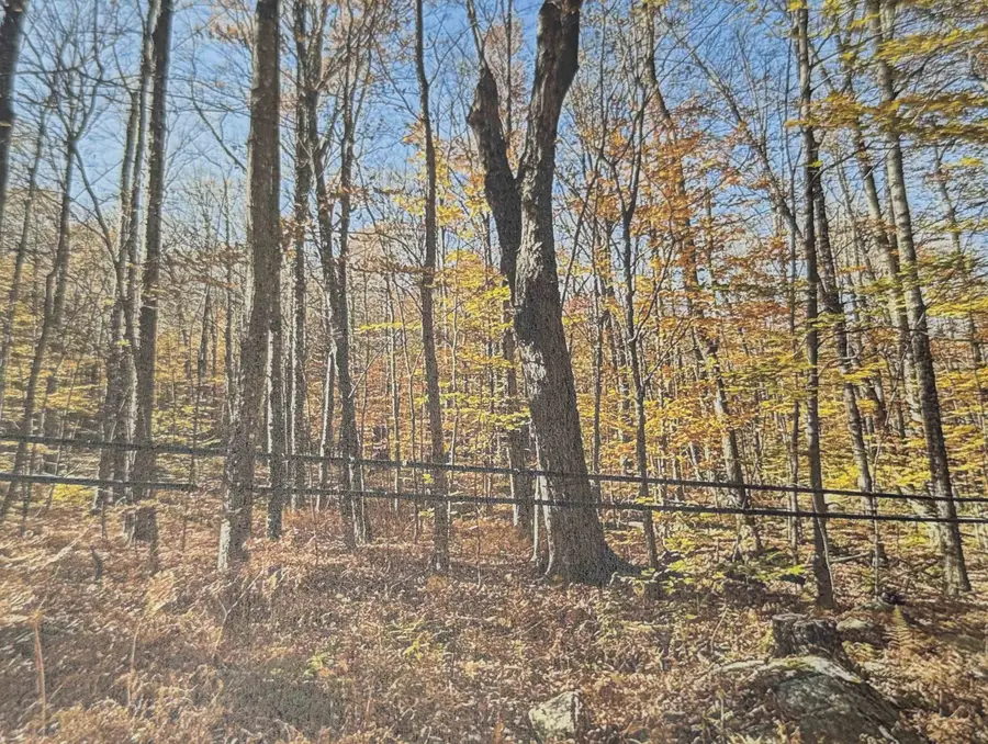 1928 VT. Rte. 131, Ascutney, VT 05030 - Image #3