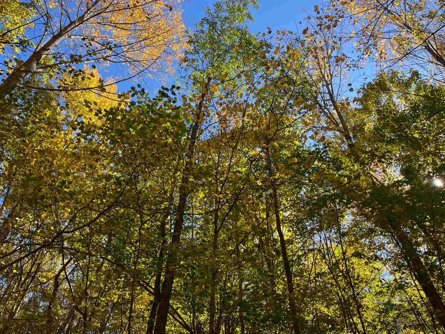 0 Leonard Road, Pomfret, VT 05067 - Image #2