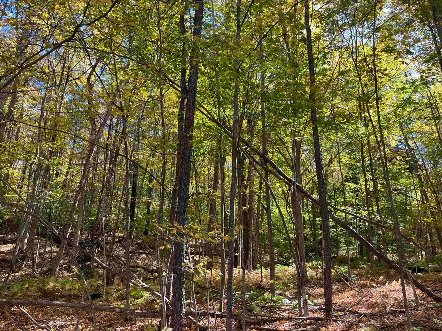 0 Leonard Road, Pomfret, VT 05067 - Image #3