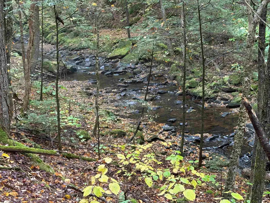 New Hampshire Route 25, Warren, NH 03279 - Image #2