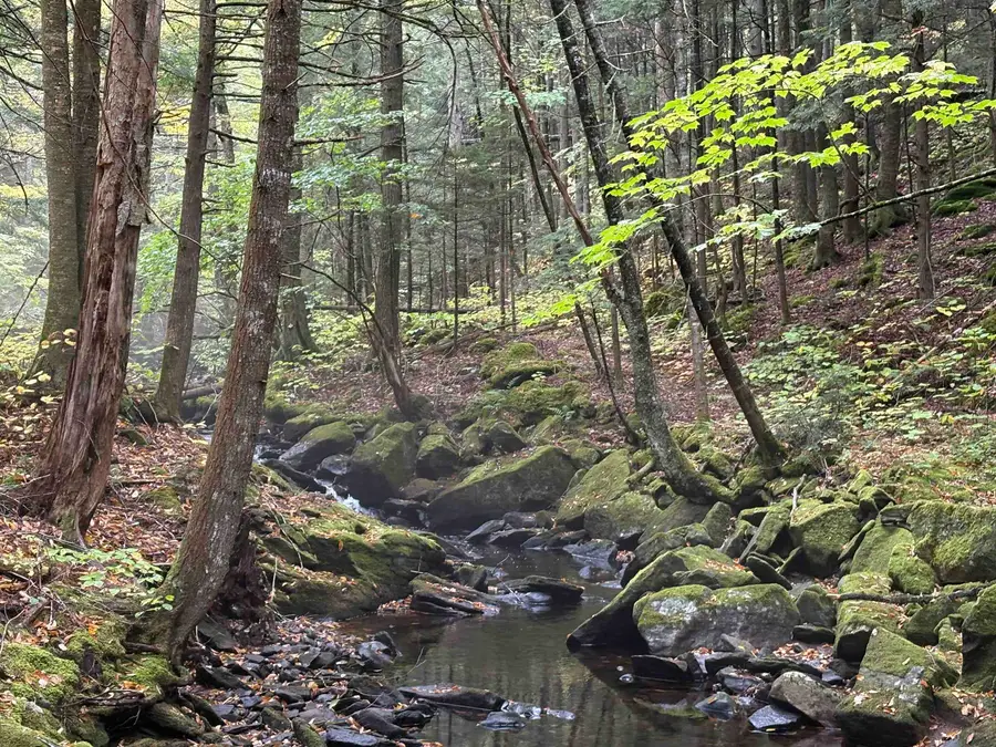 New Hampshire Route 25, Warren, NH 03279 - Image #3