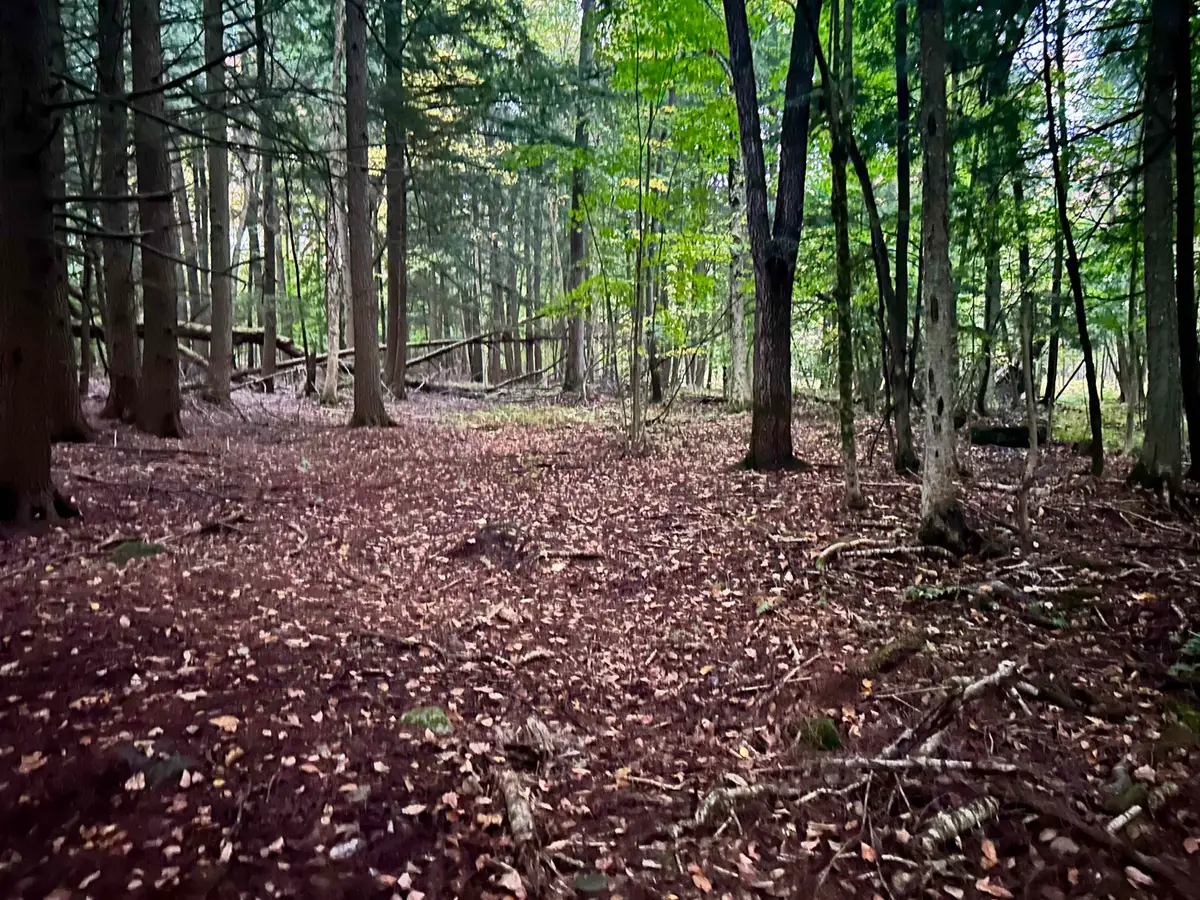 TBD Pumpkin Village Road, Fairfield, VT 05455 - Image #1