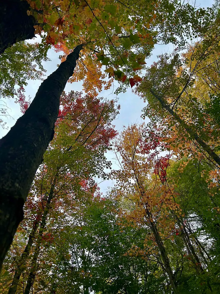 TBD Pumpkin Village Road, Fairfield, VT 05455 - Image #2