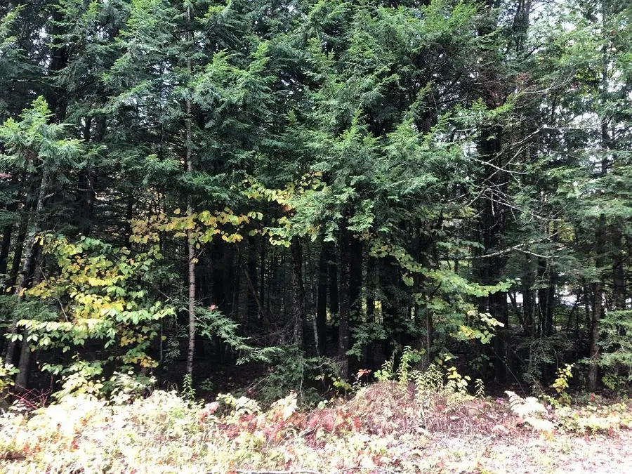 122 Centennial Drive #Lots 120,121,122,123, Webster, NH 03303 - Image #2