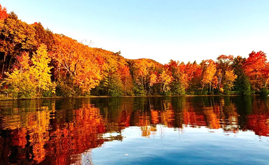 53 Lakeview Drive, Leicester, VT 05733 - Image #2