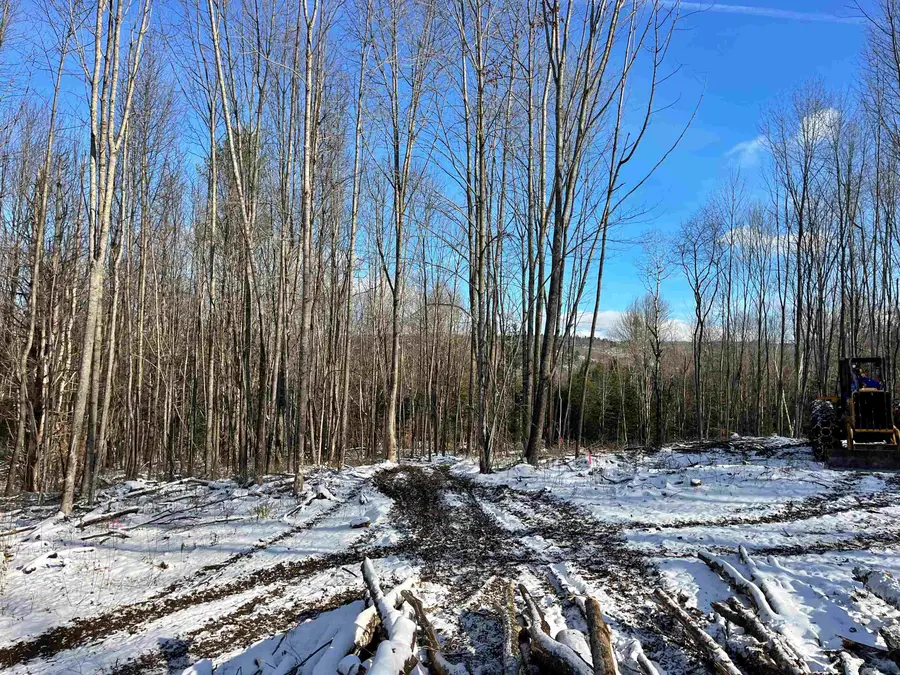 002 Duck Pond Road #Lot 2, Barton, VT 05822 - Image #3