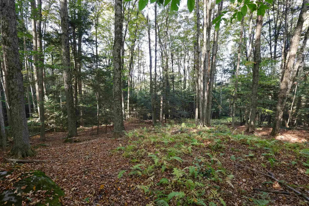 0 Woodlawn Drive #2 & 3, White River Junction, VT 05001 - Image #1