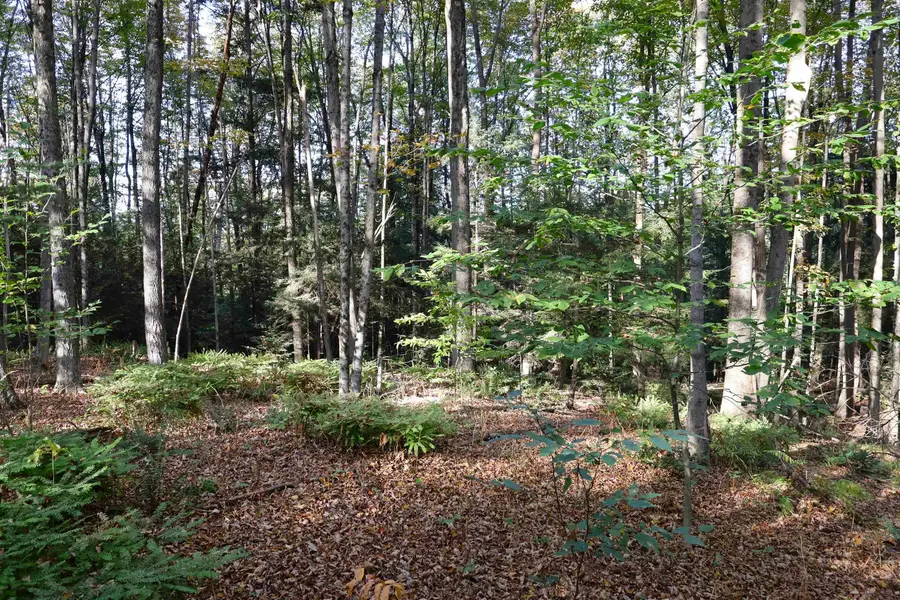 0 Woodlawn Drive #2 & 3, White River Junction, VT 05001 - Image #2