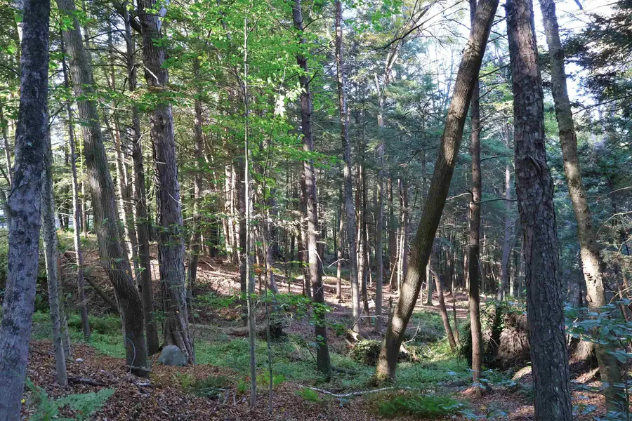 0 Woodlawn Drive #2 & 3, White River Junction, VT 05001 - Image #3